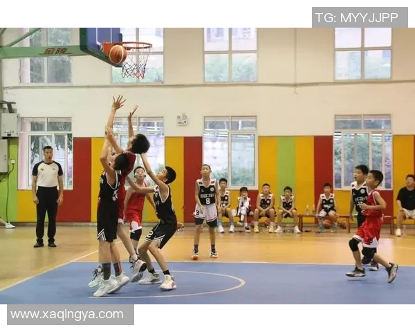 重庆篮球队在全国锦标赛中的技术表现分析与未来发展展望