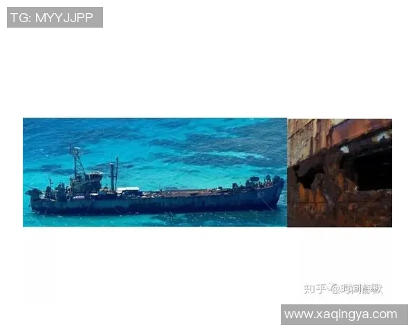 赖斯的外交智慧与全球合作新机遇探讨